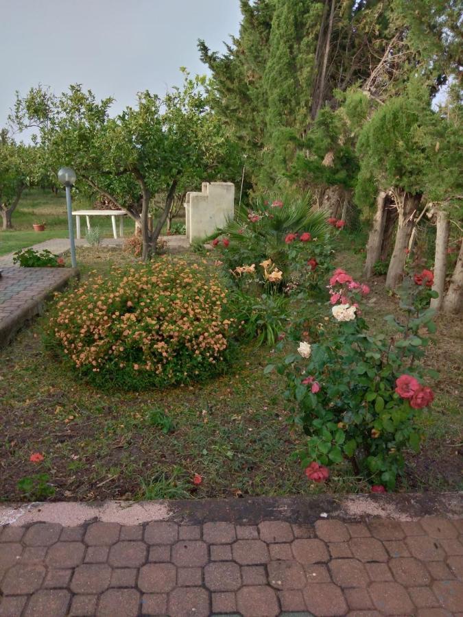 Appartamento In Orosei In Villa Delle Arance 300Mt Dalla Spiaggia Exteriör bild