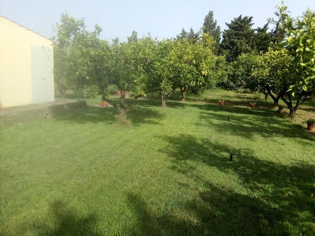 Appartamento In Orosei In Villa Delle Arance 300Mt Dalla Spiaggia Exteriör bild