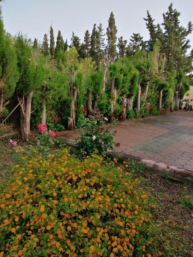 Appartamento In Orosei In Villa Delle Arance 300Mt Dalla Spiaggia Exteriör bild